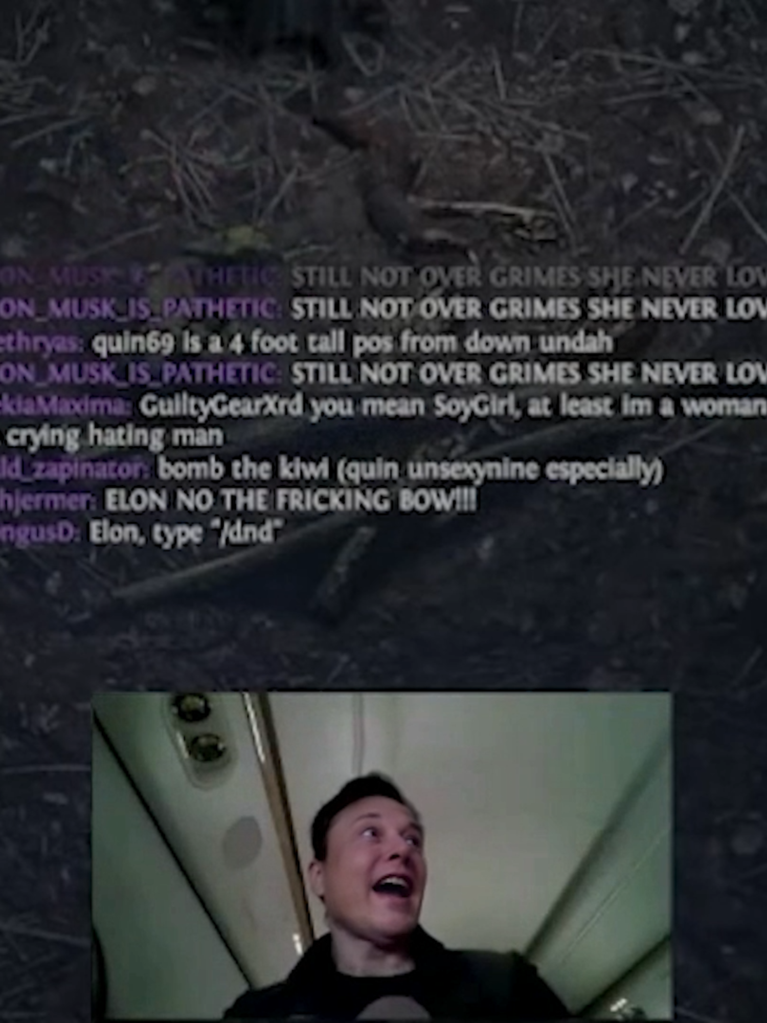 Elon has a gamer moment - Follow me for whatever atrocious sh*t I make next #elonmusk #brainrot