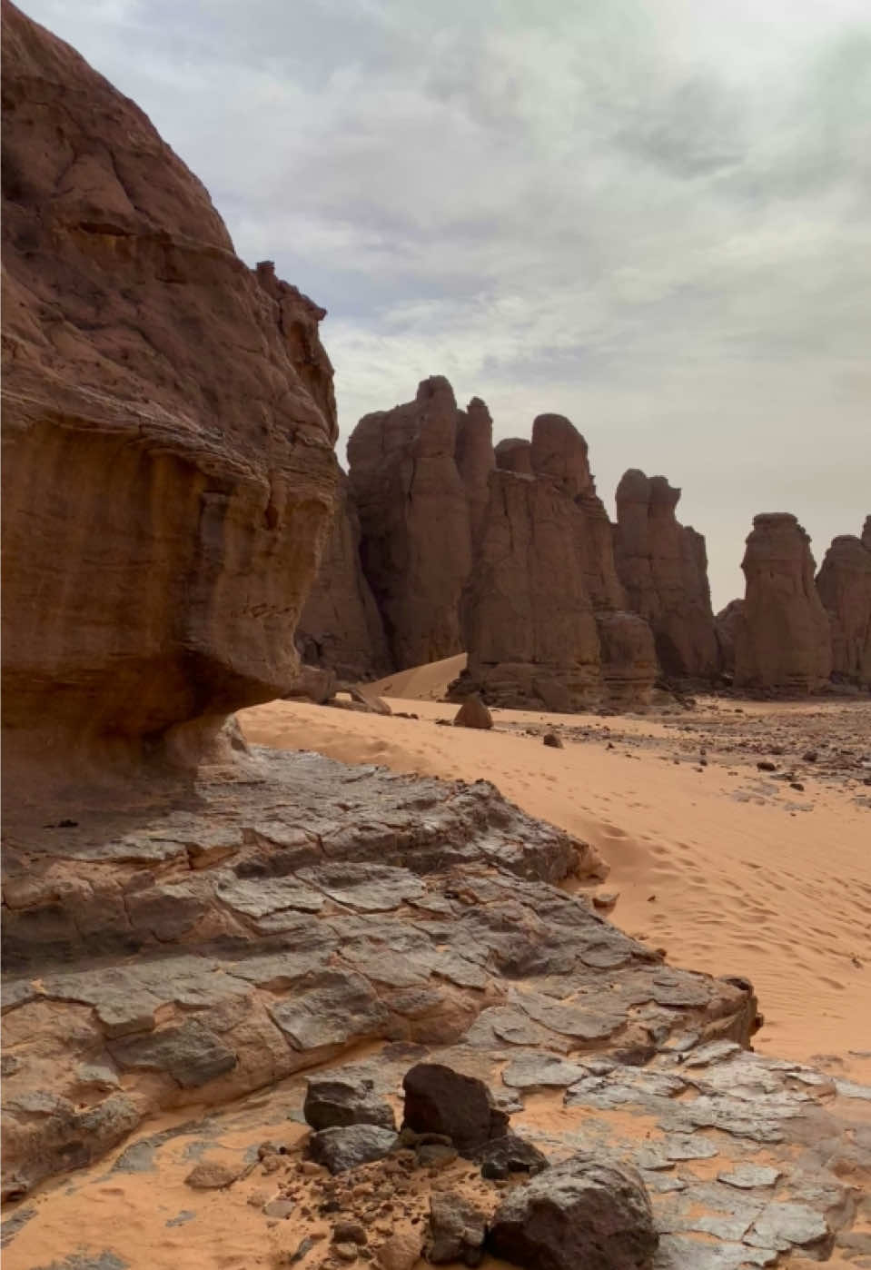 🏜️ In the heart of the Tassili n’Ahaggar, more precisely in the El Ghossour region, in the Tamanrasset desert🧡. This breathtaking landscape looks like something from another world 😍. Stunning rock formations and endless reddish hues make you feel like you’re on planet Mars. A wild, silent beauty that leaves you speechless. A must-see! 🏜️ 📍El Ghossour, Tassili Hoggar, Tamanrasset, Algeria 🇩🇿 . . . #tamanrasset #tamanghasset #tamanrasset_algeria #تمنراست #تمنراست_عين_صالح_اليزي_جانت #الغسور_تمنغاست #elghossour #marsonearth #tassili_hoggar_طاسيلي_هقار #tassilinahaggar #desertvibes #hiddengems #algeriandesert #algeria #southalgeria #touareg #الطوارق_ملوك_الصحراء #الطوارق♓🔥 #breathtakingviews #Naturelovers #algeriabeauty #traveltiktok #saharadesert #wondersofnature #exploretheunknown #planetmarsvibes 
