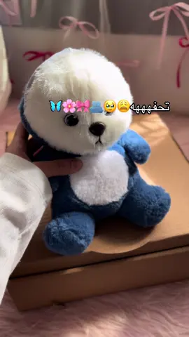 تخيلي يوصلك دبدوب ده😩🌸🎀🦋🥹 ‎📍:إسكندرية المنشية عند الجندي المجهول بنك الـ CIB علي الترام عمارة CIB بجانب عصير زمزم الدور الـ ٩🦋 ‎📌.رقمنا الوحيد للتواصل و الاستفسار واتساب 01555955207 #في_التاسع #هديتك_عندنا #explore #virale #fybbbbbbbbbbbbbb #fyp #wrappinggifts #giftideas #اسكندريه #مجات 