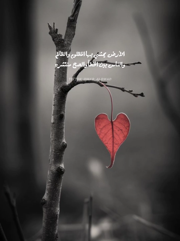 واحتاج لي صبرٍ أطول من شهر عشره 🤍 #بوح_القصّيد🎼 #عمر_الرواد #قصيده #شعروقصايد 