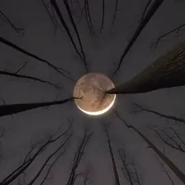 ?!82!8?91 #edit #aesthetic #darkness #music #foryou #tiktokviral 