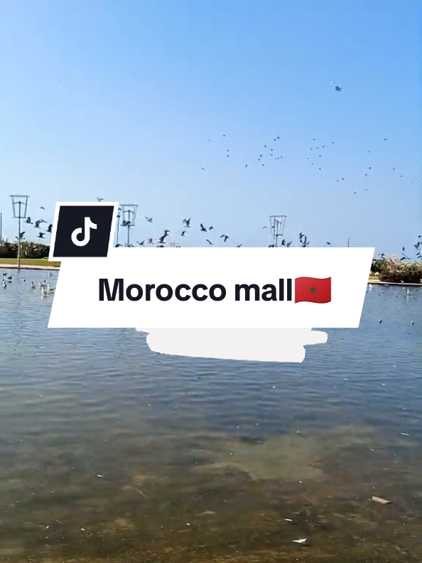 morocco mall♥️🇲🇦#morocco🇲🇦 #foryoupage❤️❤️ #المغرب🇲🇦تونس🇹🇳الجزائر🇩🇿 #الشعب_الصيني_ماله_حل😂😂 