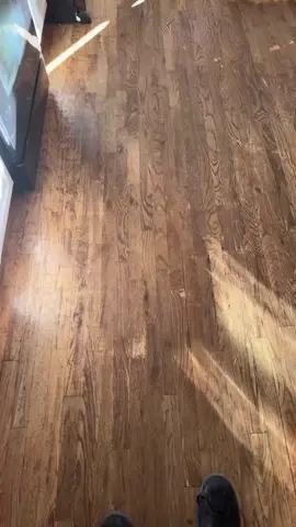 Losing it #thursday #wednesday #tuesday #monday #sunday #saturday #friday #containment #catmold #rattlegoat #fypシ #fyp #fypシ゚viral #fypage #fyppppppppppppppppppppppp #fypsounds 