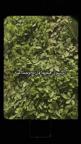 #واهجرهم_هجرا_جميلا 