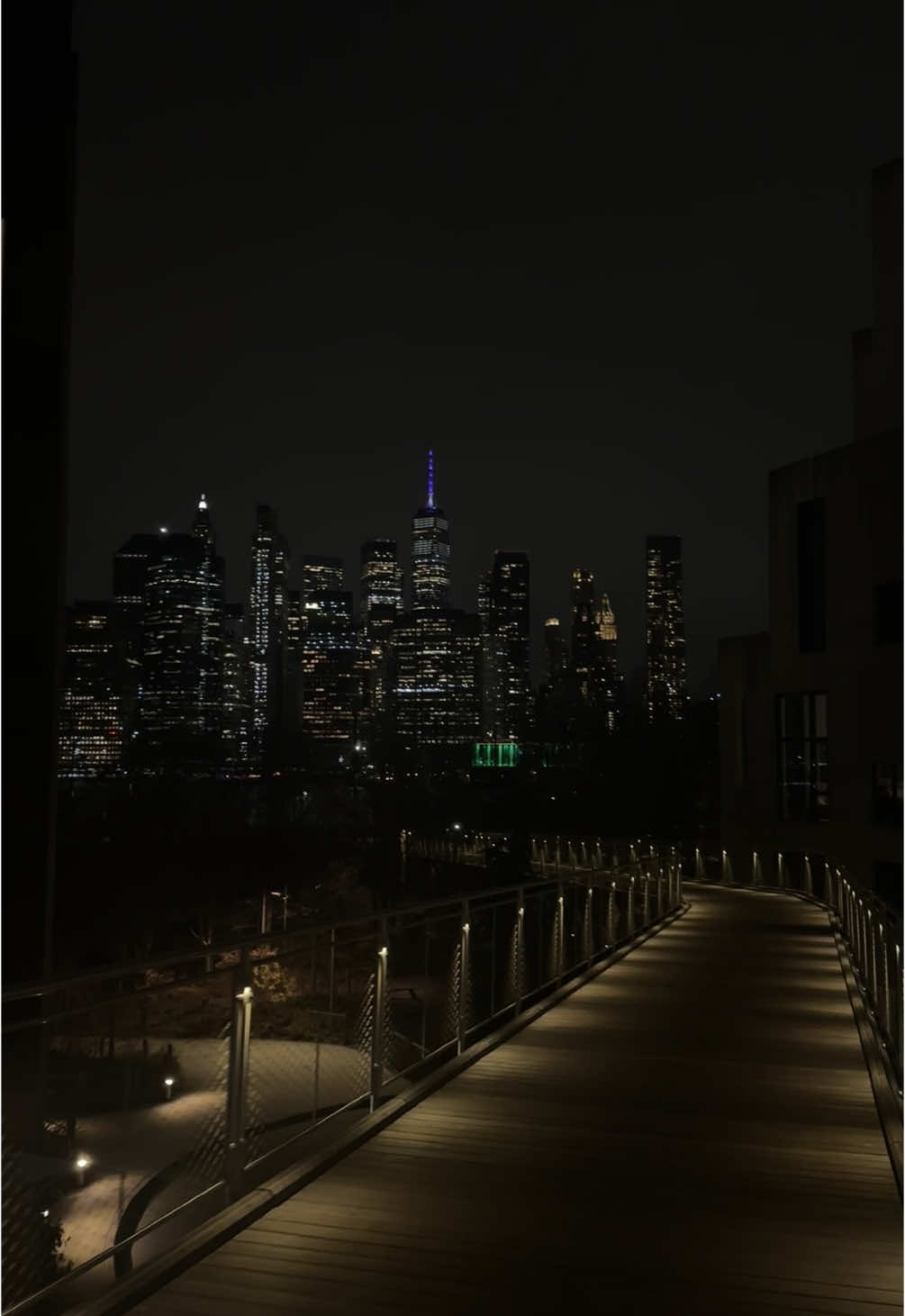 #brooklyn #nyc #nycskyline 