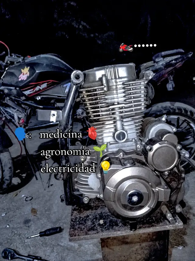 #diesel #mecanica #trailer #motos 