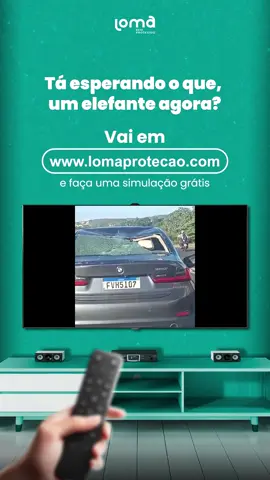 Como você explicaria uma situação dessas? 🤯 Você tá ali, parado no trânsito… e do nada: um BOI desgovernado atropela seu carro. Sim, um boi! 🐂 Parece impossível, mas aconteceu. E é aí que entra a importância de ter proteção até pros imprevistos mais malucos. Com a Loma, nem o trânsito fora do normal vira prejuízo. Você não paga o pato — e muito menos o boi. 👉 Ative sua proteção agora em lomaprotecao.com.br e dirija com segurança, até quando o imprevisível acontece. #Loma #ProteçãoVeicular #BoiNoTrânsito #HistóriasReais #EvitePrejuízo #SegurançaEmQualquerSituação #Assistência24h