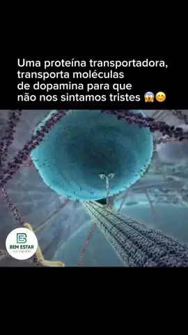#empresas #evangelho #contabilidade #deus #deusnocomando #igreja #mulher #mulheresempoderadas #vinho #portugal #amor #solteira #anos90 #anos80 #anos2000 #pet #uberlandia 