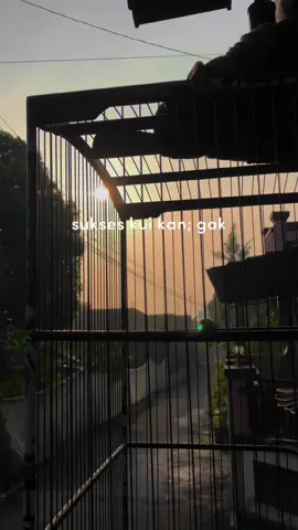 Elek e rupo isoh ditutupi karo abange duit 😂#kicaumania #kicaumanianusantara #storywakerenシ #selamatpagi #kenarimaniaindonesia #aesthetic #kenari #kenariklaten #kenarijogja #fy #kenarimania #hobikicau #fypage #kicauburung #kicauburungestetik 