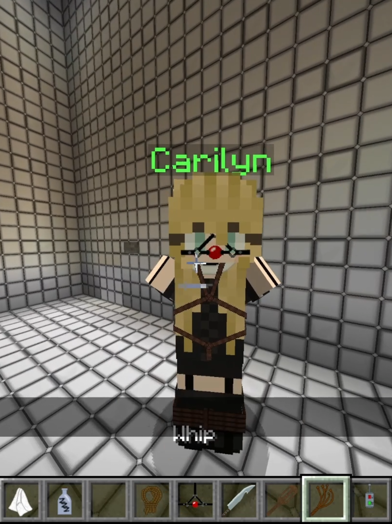 #Minecraft 
