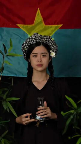 Tự do không tự đến, Hoà bình không tự có. Mãi biết ơn những người đã đi qua giông bão #trangphucvietnam #fenghuastudio #giaiphongmiennam #xuhuong #fyp 