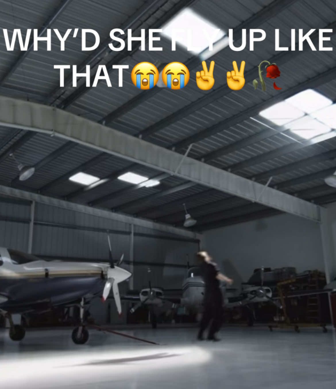 #sharknado #funny? #lemmebefunny #awesomesaucegang #idk @✨Petey TheCat✨😾 @pollo 🐓🐔 @ilovedottore @lilacsareoncraxk 