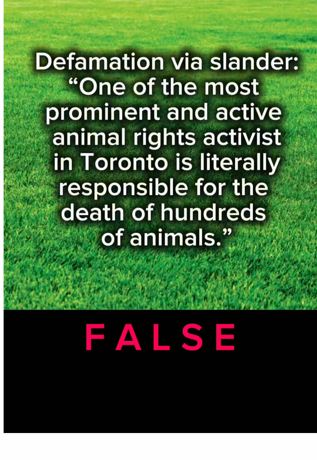 When they tell lies, you can step back and stay silent, or show your proof. Here’s mine. Honestly, I’m so sad, and so damn angry that someone would say this about me. I’m blocked from their page so I won’t name them.  #defamation #slander #myth #supportsanctuaries #fyp  #CapCut 
