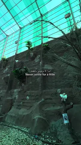 #اذكروا_الله #fyp 