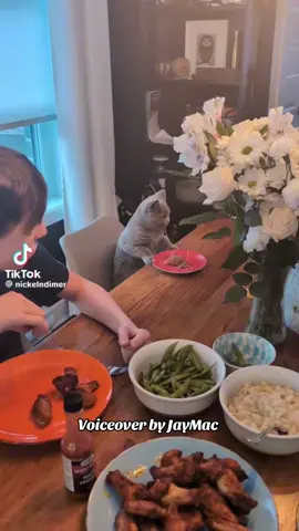 He wants the human treatment 😂😂 #funny #cat #voiceover #fyp 