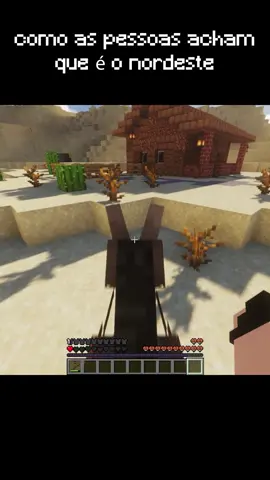 como as pessoas acham que é o nordeste #Minecraft #minecraftmemes