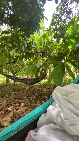 Hammock/Duyan 🍃#militaryduyan #duyan #hammock #militaryduyanwithnet #jsefindsofficial 