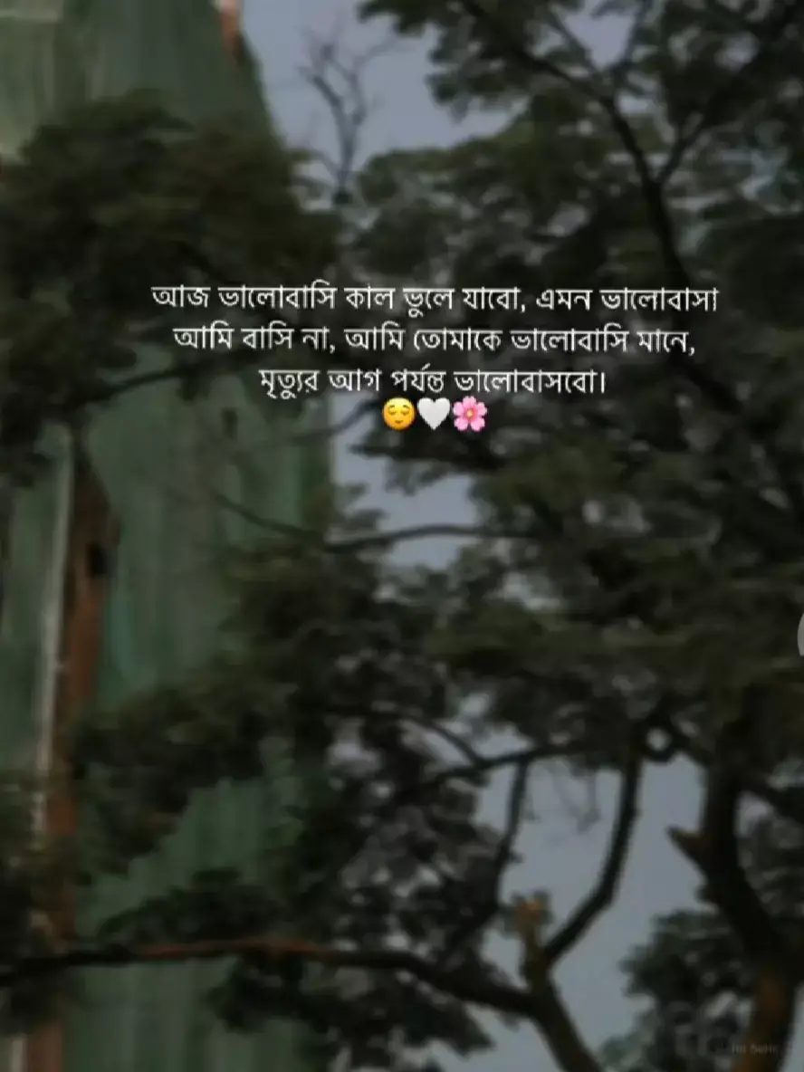 #বুজলা জান🥹🖤#😊😊😊😊❤️❤️🤭🤭❤️❤️❤️🥰🥰🥰😔😔😔😒😒😒😒😏😏😏👻👻👻💖💖💖💘💘💓💓💓 #🦋🦋🦋🦋 #🌸🌸🌸🌸 #fypシ゚viral🖤tiktok☆♡🦋myvideo #fypシ゚viral🖤tiktok #@TiKToK @TikTok Bangladesh @vairal video @For You 