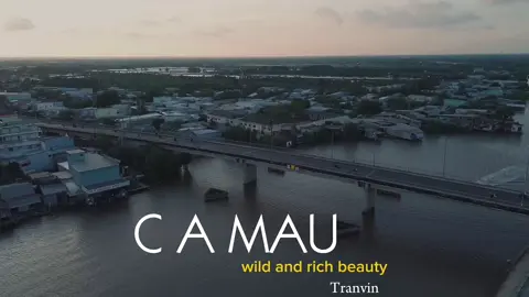 Vừa giống Cà Mau vừa không giống Cà Mau@Tommy Pham #shortondjimavic3 