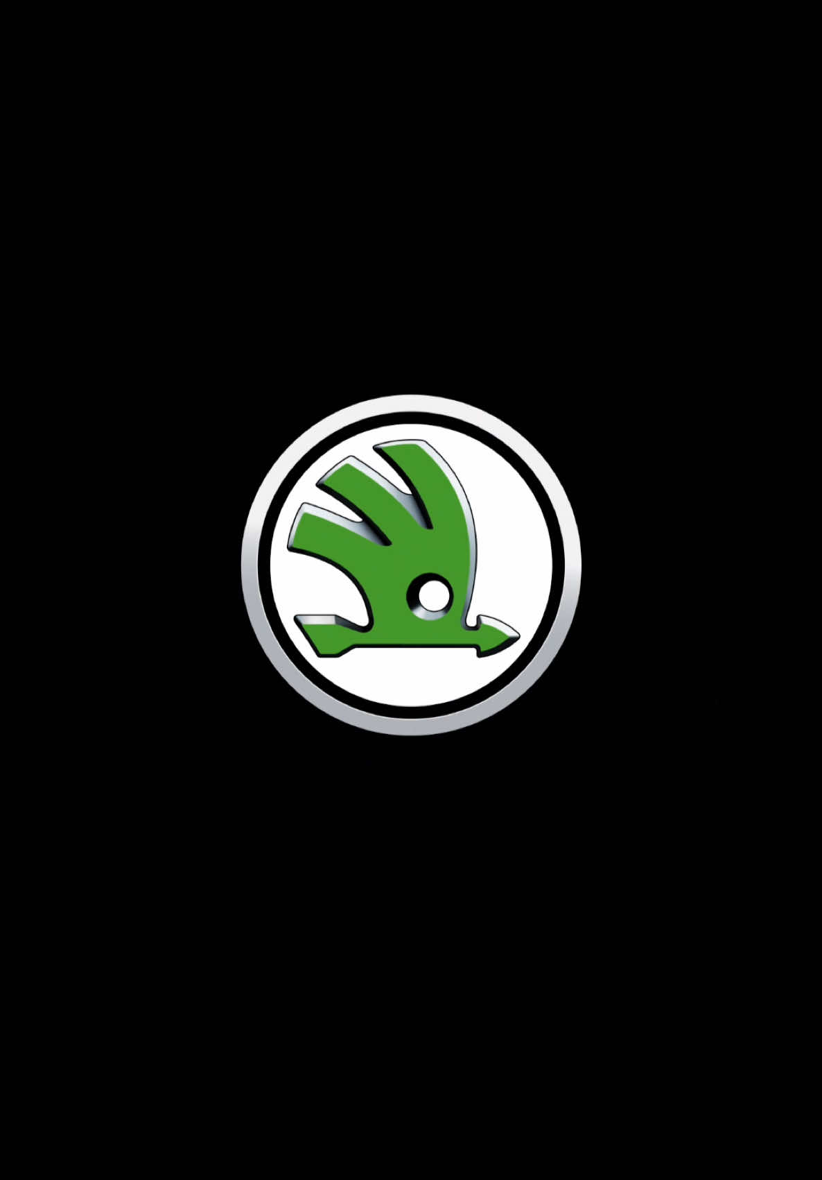 Simply clever #песня #шкода #skoda 