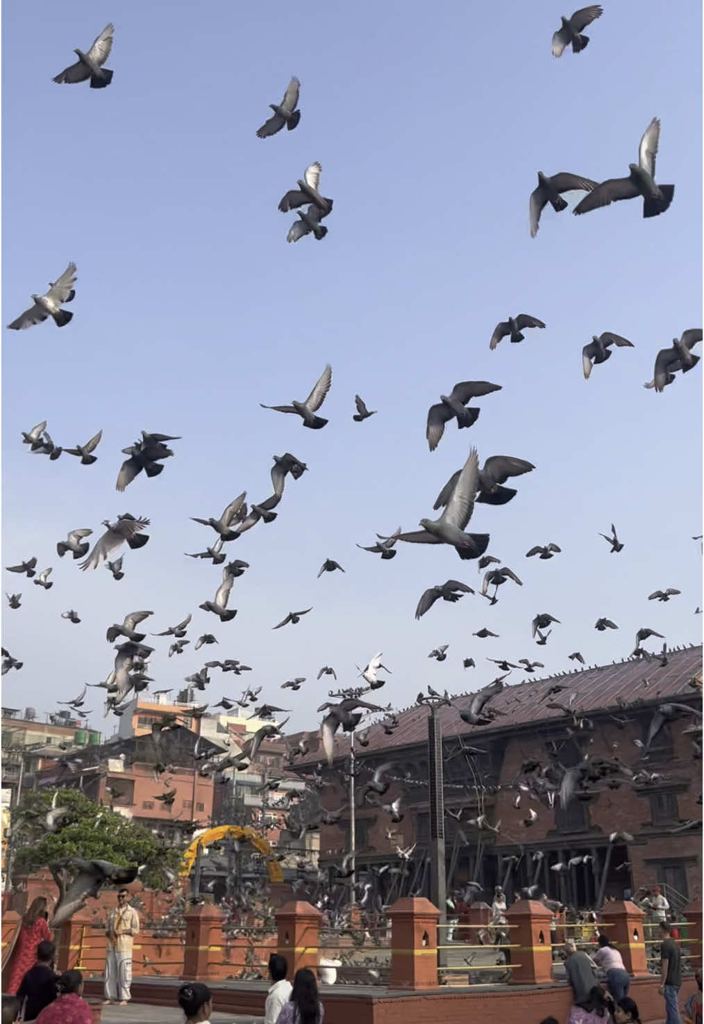 Pashupatinath Temple in Kathmandu — where faith and peace come together. A sacred place that takes you closer to Lord Shiva. It’s not just a temple, it’s pure energy you can feel. Jai Shambho — experience the spiritual heart of Nepal.                                               #pashupatinath #Pashupatinath #TempleVibes #fyp #jaysambhoo🕉️🙏🏼 