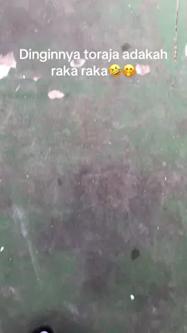 Adkah raka raka😂😂😂