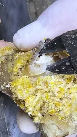 Unbelievable Toenail Fix in the USA! 🇺🇸 #USA #AmericanToenail #ToenailCare #SatisfyingNail #NailFixUSA #AmericanHealth #USAToenailCare #MadeInUSA #TrendingInUSA Disclaimer: These videos are sourced from other platforms, Video Credit to Vietnamese group. They feature artificial toenails for educational and monetization purposes.