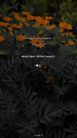 මොනවා වුනත් ; මම ඔයාට ආදරෙයි ! 🤍 #NIMZ #viral #status #foryoupage 
