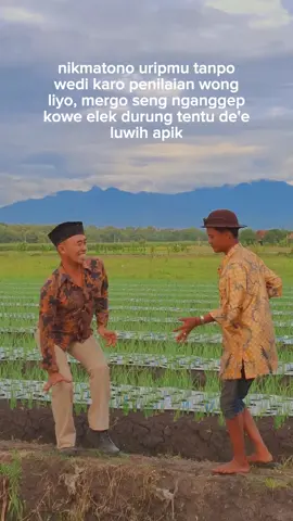 untiren baseee jiii
