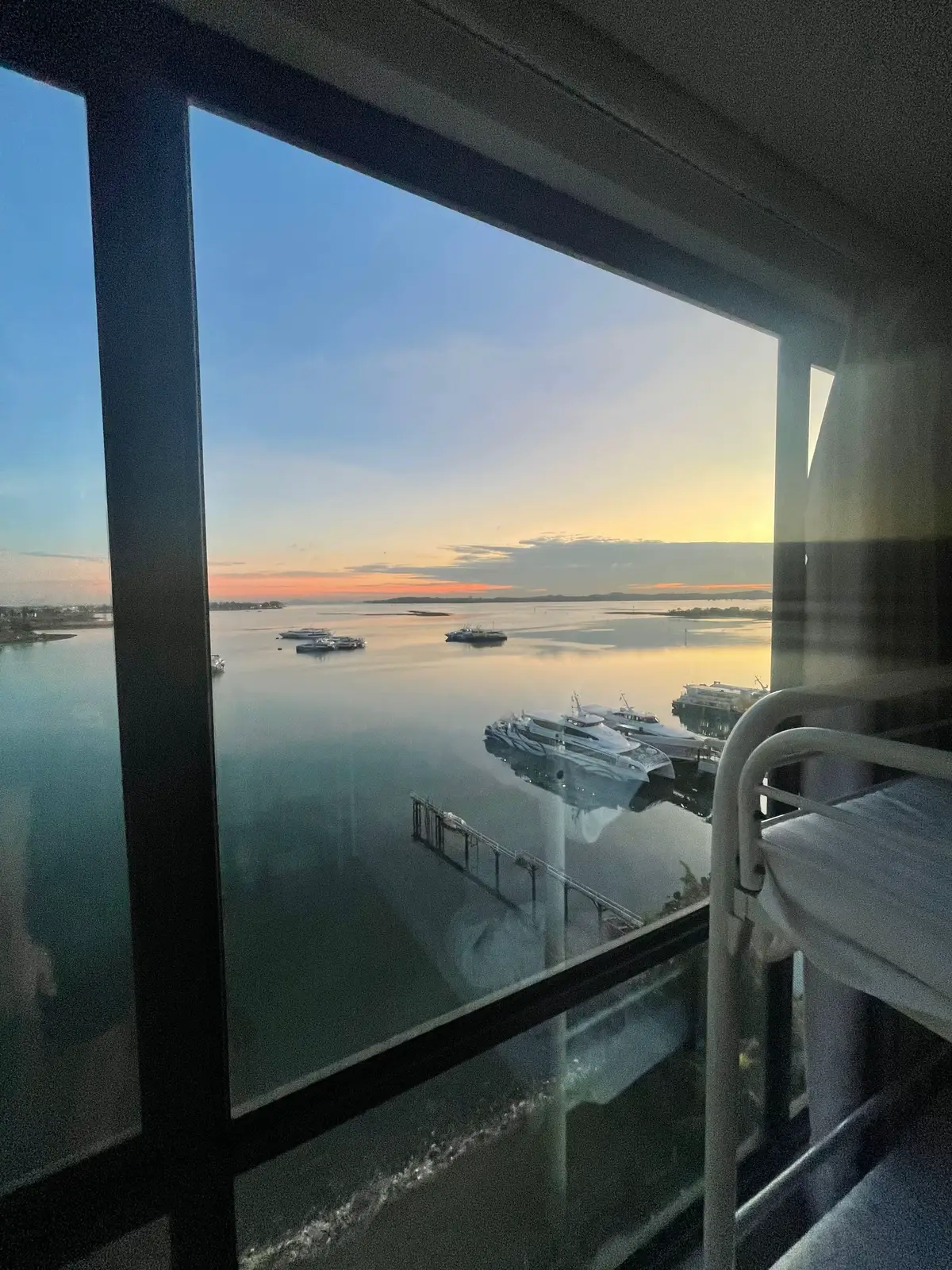 dumb #paprandom #fyp 