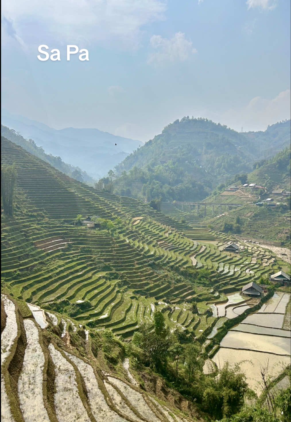 Sa Pa - Trekking tour through the most beautiful landscape 🎋 A must visit in Vietnam 🇻🇳  #sapatrekking #trekkingtoursapa #vietnam #fyp #trending 