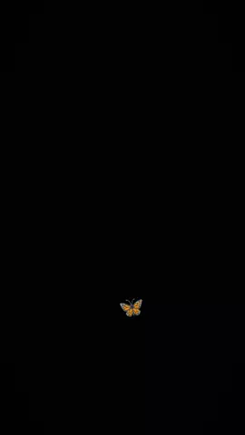 #CapCut #جيش #الفراشة #🦋 #fy 