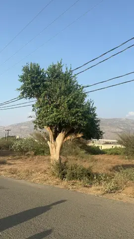 #CapCut #تصميم_فيديوهات🎶🎤🎬 #تصويري_احترافي_الاجواء👌🏻🕊😴🎬 #تصويري_احترافي_الاجواء👌🏻🕊😴_تصميمي #العارضه 