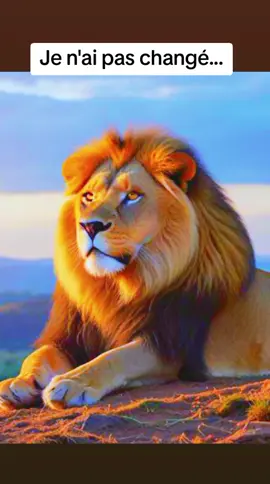Je n'ai pas changé. #VoiceEffects #conseil #citation #motivation #videoviral #pourtoi 