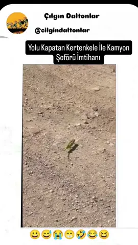 #tiktoknews #beniöneçıkart #benionecikart #kefşet #kefsettiktok #trendingvideo #mizah #fypシ゚ 