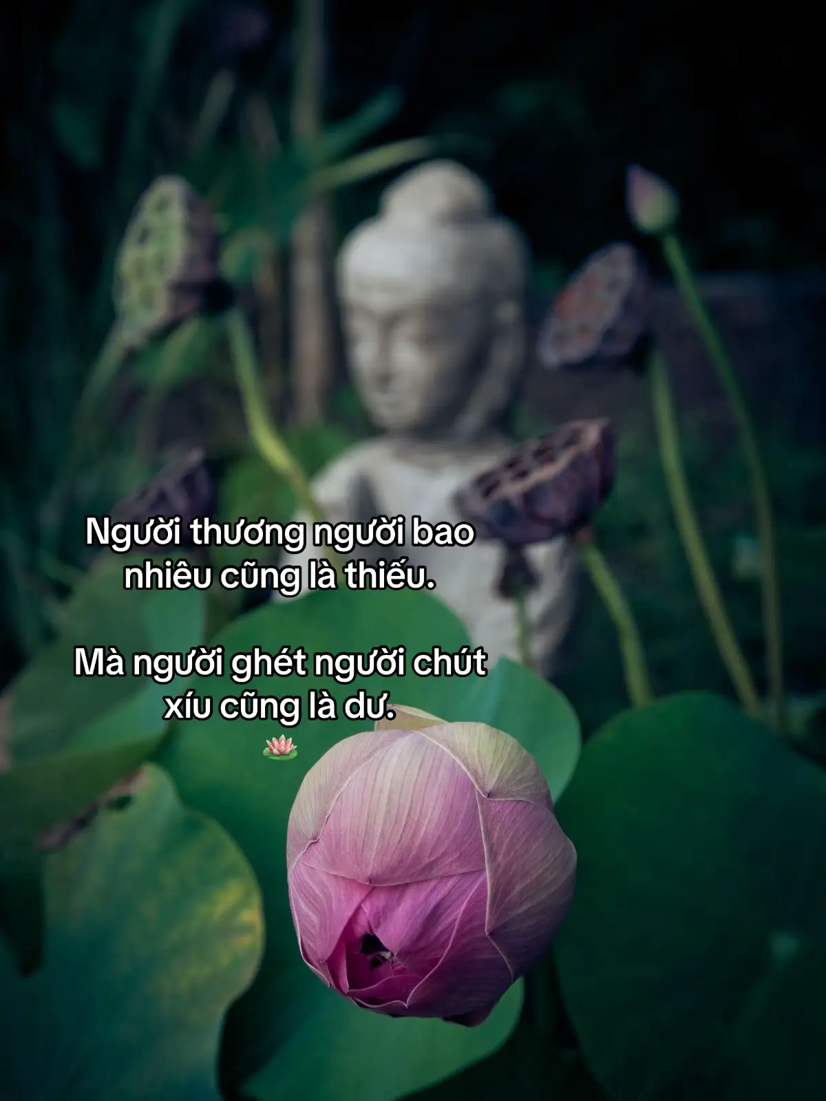 Người thương người bao nhiêu cũng là thiếu, mà người ghét người chút xíu cũng là dư🪷