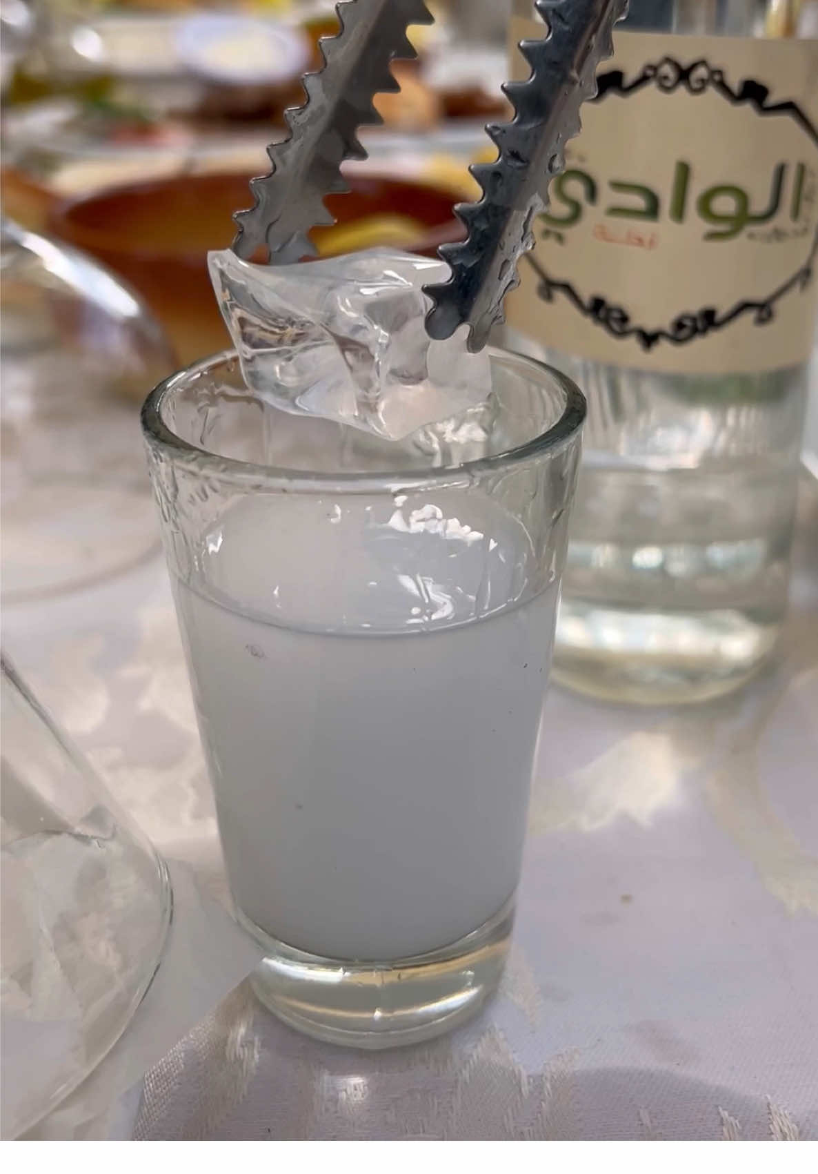 #alwadi #alwadimarchaaya #arak #عرق #zahle #lebanesefood #lebanesemezza #fyp #foryou #foryoupage #explore 
