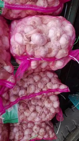 bawang putih sinco ready lokasi Gudang Madiun siap melayani grosir sampai partai besar gasss  fast respon  082131684789 081235722802 #grossir #madiunngemil #murahnikmatlezat #kuli #fyp #madiun #bawangputih #bawang 
