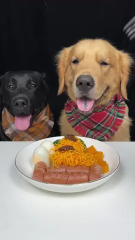 #dog #eating #asmr #labrador #golden
