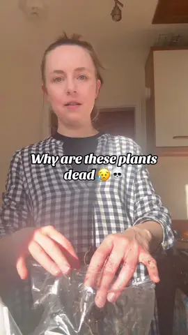 Planting up bare roots from farmer Gracy. Excited for these to grow into big beautiful plants 🥹 My discount code is SARAHROSEGROWS for extra 10% off the sale. #gardening #renterfriendly #lowbudget #budgetgardening #bareroots #howtogarden 