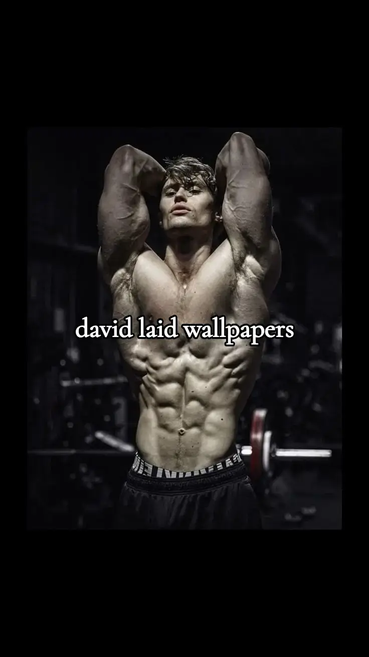 david laid wallpapers #davidlaid #wallpaper #wallpapers #davidlaid #motivation #gym #gymmotivation #Fitness #fitnes #fitnesmotivation #fyp #fyppppp #trende #trends 