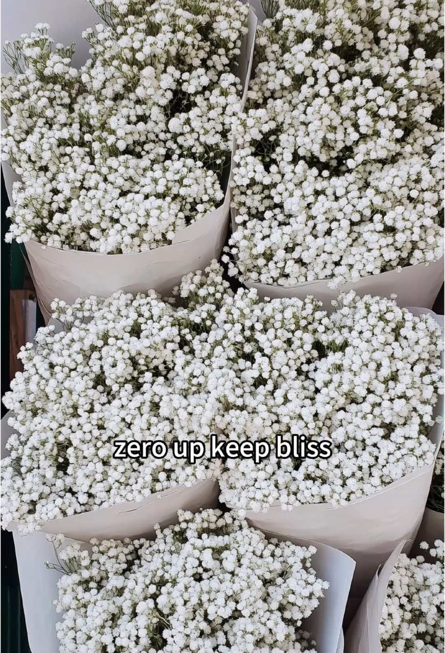 #babybreath #tiktokshop #flowers #fauxflowers #artificialflowers #summervibes #tiktokshopspringglowup #tiktokmademebuyit #speingdecor #homedecor 
