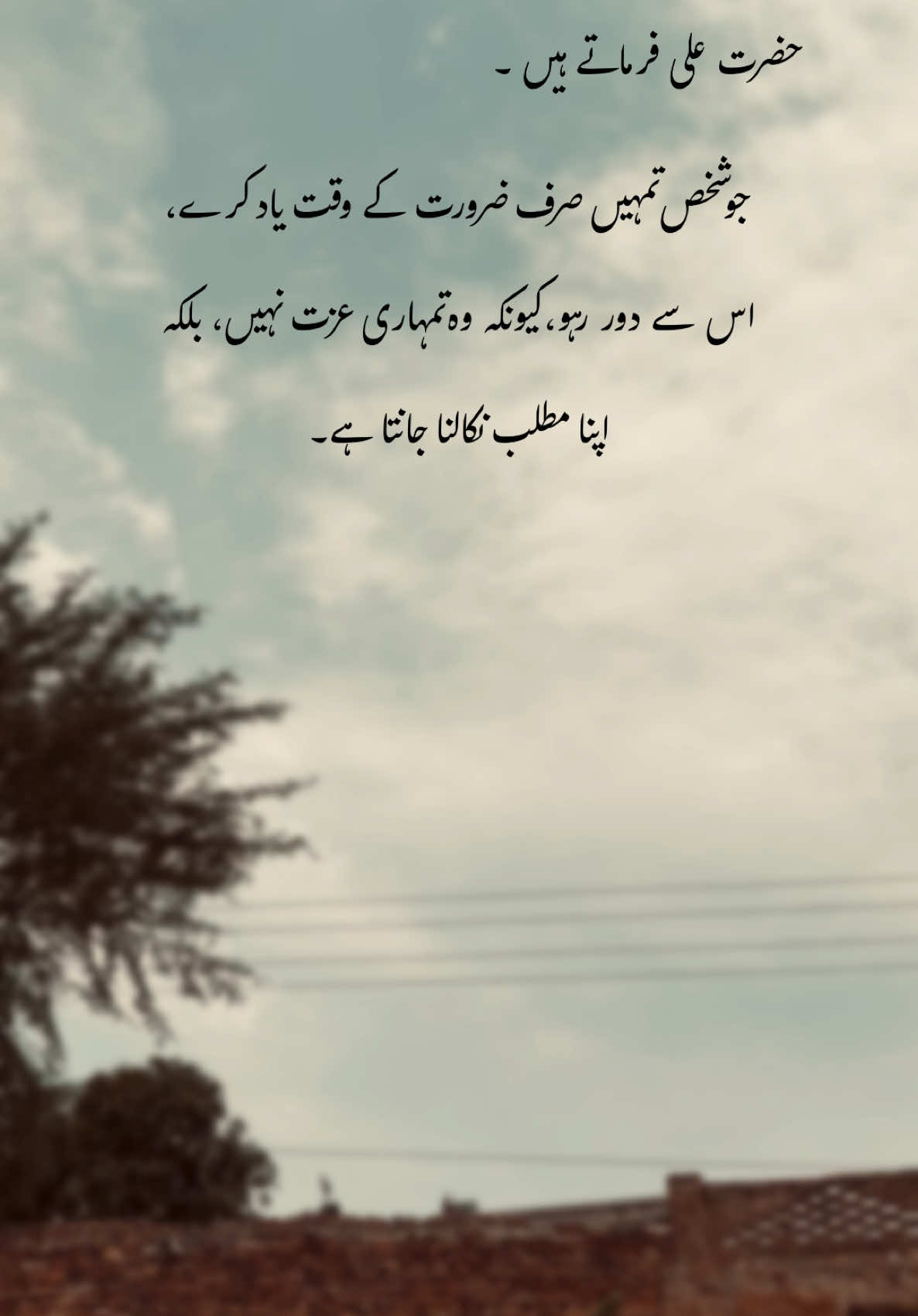Hazrat Ali farmate hain ❤️‍🩹🥹🤌🏻#1millionauditions #easthetic #foryou #poetrystatus #foryourepage #fypp #bunny_estix #516 #dopalpoetry 