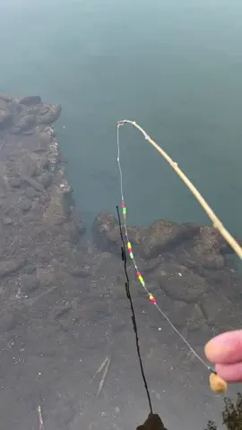 #satisfying #machines #in #action