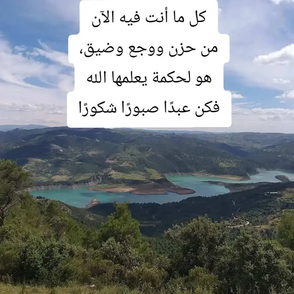 #رابح 
