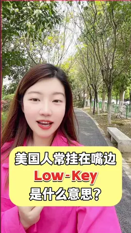 美國人很流行說的Low-Key是什麼意思？#英语 #英語 #english #tiktokenglish #学英语 