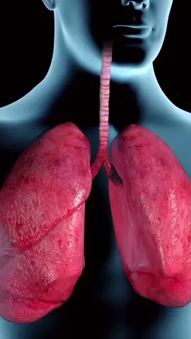 Voici ce qui se passe dans votre corps quand vous arrêtez de fumer !! 🤯 La consommation de tabac est dangereuse pour la santé !!  #preventionsanté #poumon #sante #bienetre #france #tiktokfrance🇨🇵 #paris 