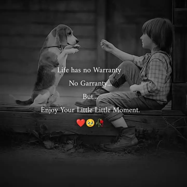 #urdushayaristatus #tureword #viraltiktok#hmmmmm 😭😭😭😭😭😭#agree #sadpoetry#viralvideo