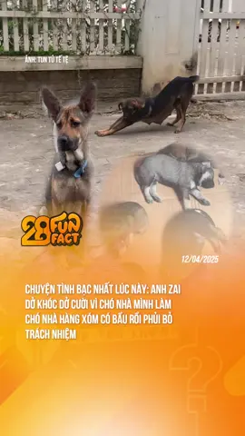 ĐÚNG LÀ BẠC NHƯ CHÓAAAA #theanh28 #theanh28news #theanh28funfact #tiktoknews