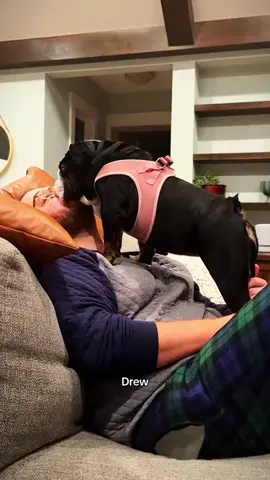 Dogs love their owners. #dog #pet #cute #Love #human #Foryou #US